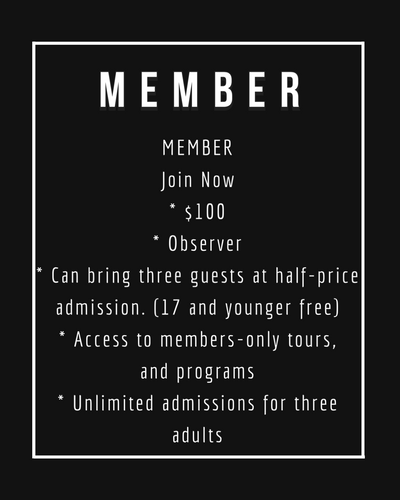 Member